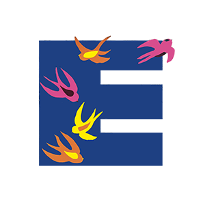 Comité d'amis Emmaüs de Roanne Mably et Marcigny